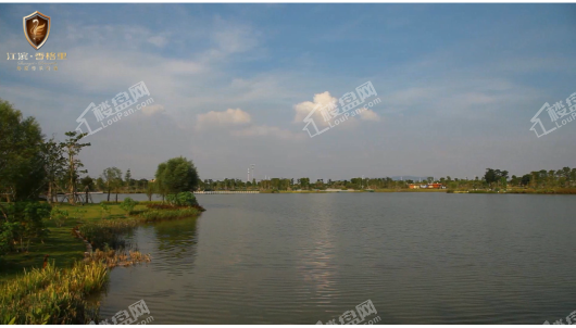 江滨香格里配套图