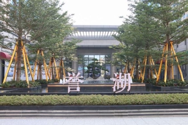 中建壹品建投誉湖