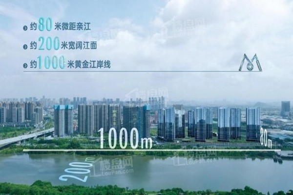 1954453505562.jpg