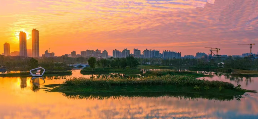 云鹭湿地公园,来源项目 云鹭湿地公园.png
