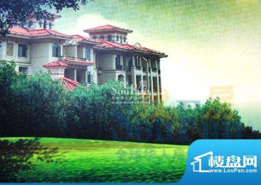 丽日坚美森林湖效果图